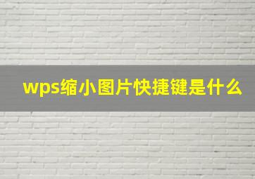 wps缩小图片快捷键是什么