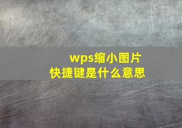 wps缩小图片快捷键是什么意思