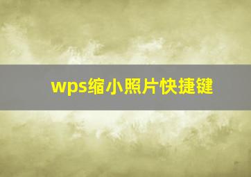 wps缩小照片快捷键