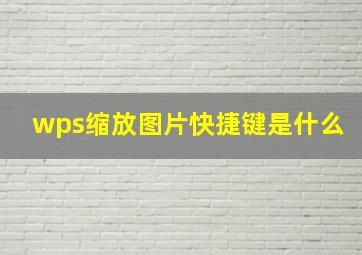 wps缩放图片快捷键是什么