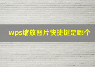 wps缩放图片快捷键是哪个