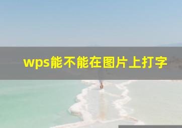 wps能不能在图片上打字