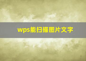 wps能扫描图片文字