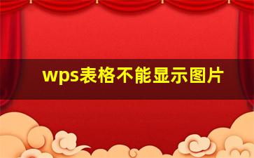 wps表格不能显示图片