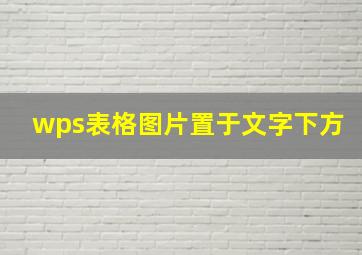 wps表格图片置于文字下方