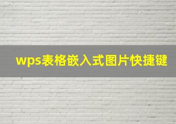 wps表格嵌入式图片快捷键