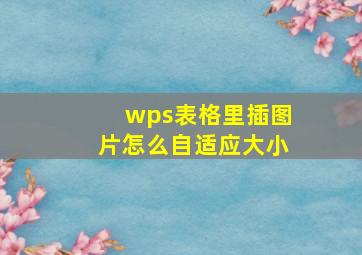 wps表格里插图片怎么自适应大小