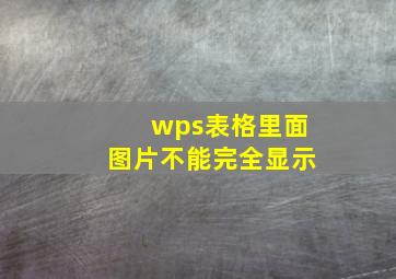 wps表格里面图片不能完全显示