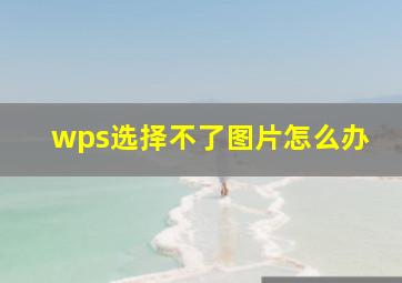 wps选择不了图片怎么办