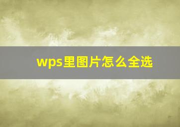 wps里图片怎么全选