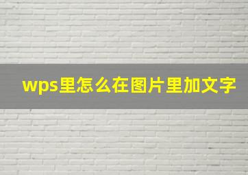 wps里怎么在图片里加文字