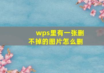 wps里有一张删不掉的图片怎么删