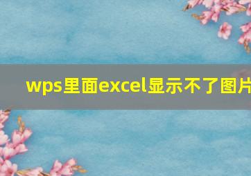 wps里面excel显示不了图片