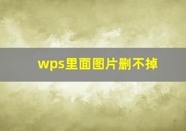 wps里面图片删不掉