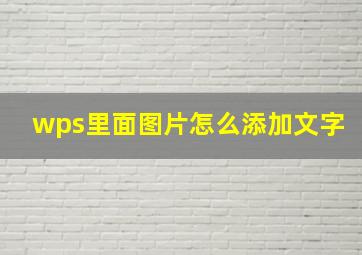 wps里面图片怎么添加文字