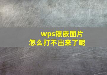 wps镶嵌图片怎么打不出来了呢