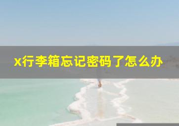 x行李箱忘记密码了怎么办