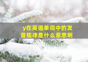 y在英语单词中的发音规律是什么意思啊