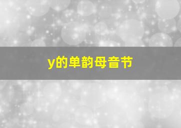 y的单韵母音节