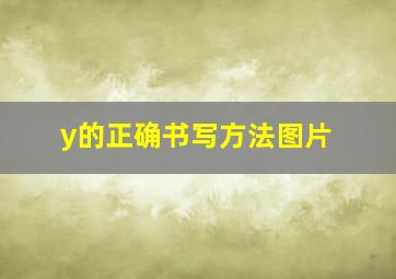 y的正确书写方法图片