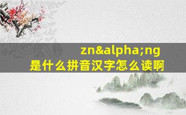 znαng是什么拼音汉字怎么读啊