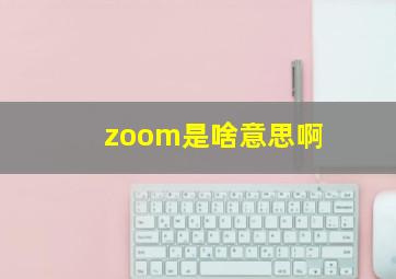 zoom是啥意思啊