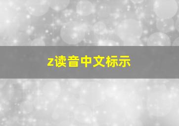 z读音中文标示