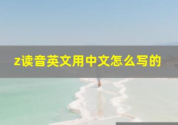 z读音英文用中文怎么写的