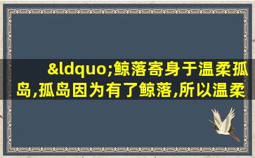 “鲸落寄身于温柔孤岛,孤岛因为有了鲸落,所以温柔”