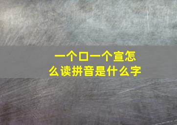 一个口一个宣怎么读拼音是什么字