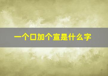 一个口加个宣是什么字