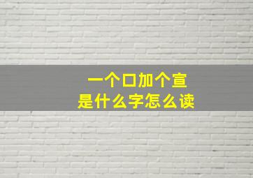 一个口加个宣是什么字怎么读