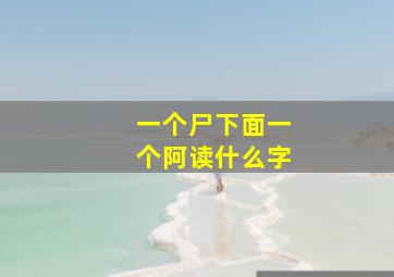 一个尸下面一个阿读什么字