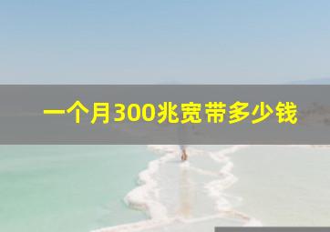 一个月300兆宽带多少钱