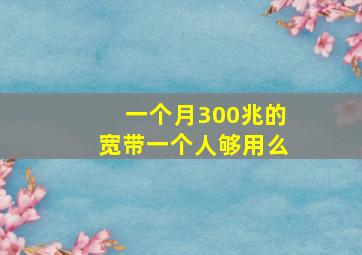 一个月300兆的宽带一个人够用么