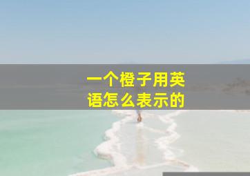 一个橙子用英语怎么表示的