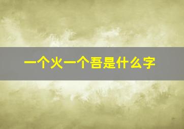 一个火一个吾是什么字