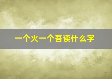 一个火一个吾读什么字