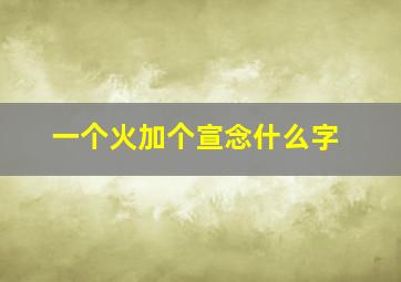 一个火加个宣念什么字