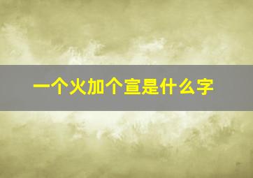 一个火加个宣是什么字