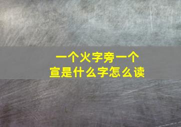 一个火字旁一个宣是什么字怎么读