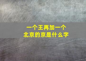 一个王再加一个北京的京是什么字