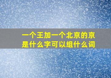 一个王加一个北京的京是什么字可以组什么词