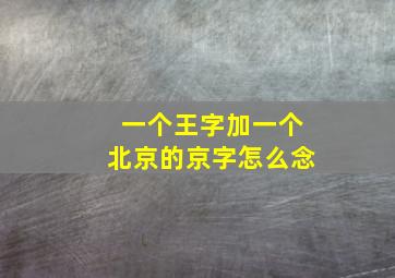 一个王字加一个北京的京字怎么念