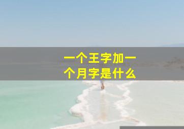 一个王字加一个月字是什么