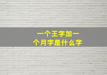 一个王字加一个月字是什么字