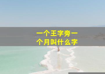 一个王字旁一个月叫什么字