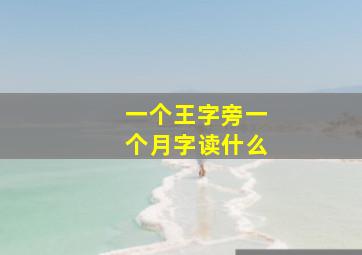 一个王字旁一个月字读什么