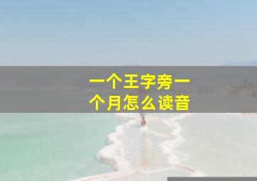 一个王字旁一个月怎么读音