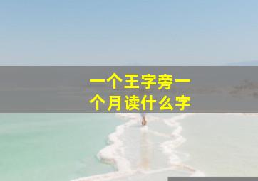 一个王字旁一个月读什么字